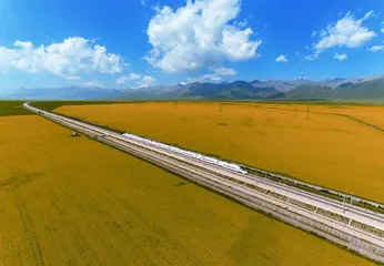 十处花海的别样“花情”(下)3