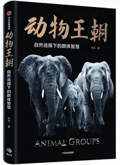 象之王国:母系氏族与“男人帮”5