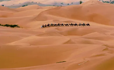 中国的沙漠与沙地(下)1