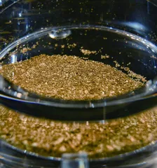 “狗头金”不简单的金疙瘩3
