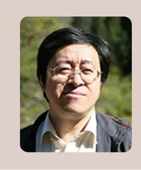 豆子的境遇
