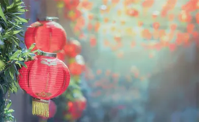 蛇年:年年岁岁但如春0