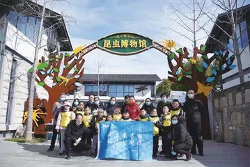 “双减”进行时,如何读书?2