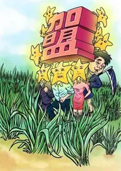 明星光环不是“割韭菜”的镰刀