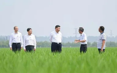 声音1