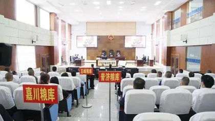 查处整改齐发力 守好“天府粮仓”