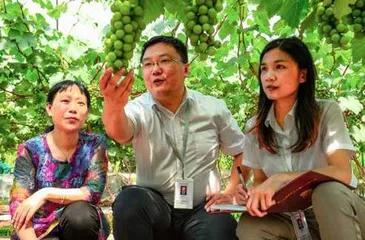 眉山天府新区：纪检监察护航乡村振兴