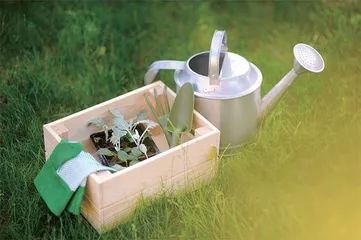 请尊重孩子的花
