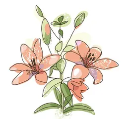 护花使者