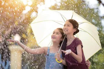 我想看看雨