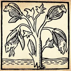 想象植物学:关于植物的幻想造像3