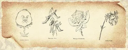 想象植物学:关于植物的幻想造像5