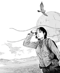 游隼向西飞行