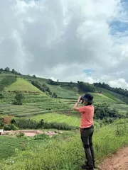 彼岸之夏（中篇小说）