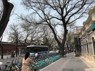 共享单车：奔向美好生活1