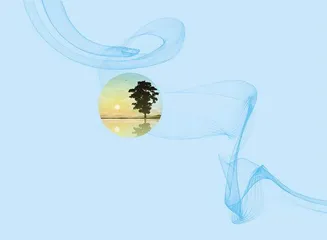 演奏或粼粼波光