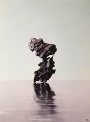 静物如初 唯变不变7
