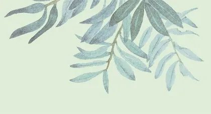 万物慈悲