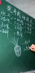 梁老师直播教种地2