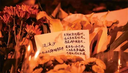一生一事，一世如诗
