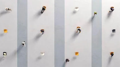 “精芬”非冷漠1