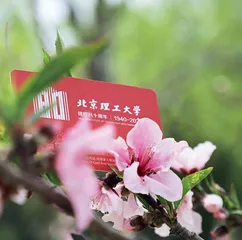 用经济“完善”教育