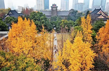 “交叉”碰撞出什么?1