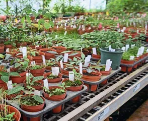 一门百年植物课1