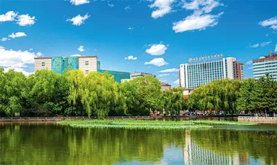 扎根北疆大地 “草原明珠”放光芒1
