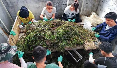  耕海牧渔 问粮沧海2