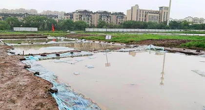 触摸泥中6000年前的鹿角