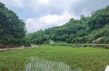 汪宗平：我非老总，是种地的（上）