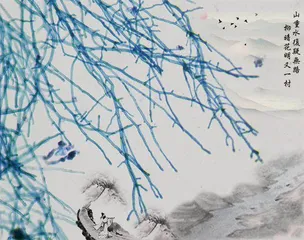 镜影寻迹 微观映生