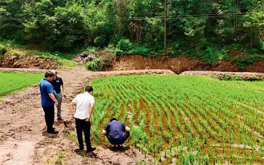 汪宗平:我非老总,是种地的(下)0