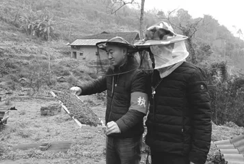 一起向西行，民生改善正当时