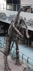 见“龙”在馆