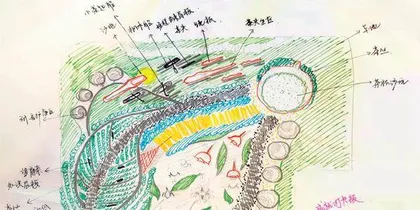 茶“艺”3