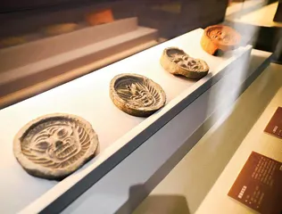 部分展品大赏5