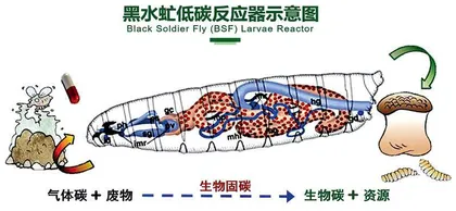 昆虫工场1