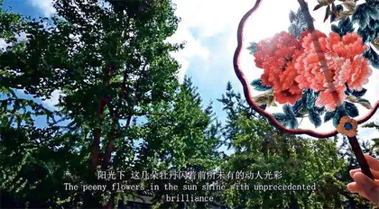 镜头里的“苏面”2