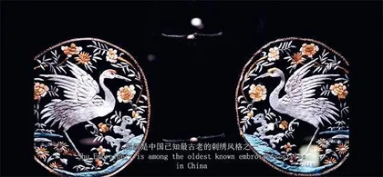 镜头里的“苏面”3