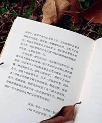 谷河边 吾伴我2