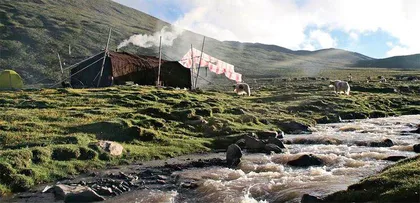 在那地山雀生活的地方1