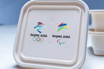 净解之材1