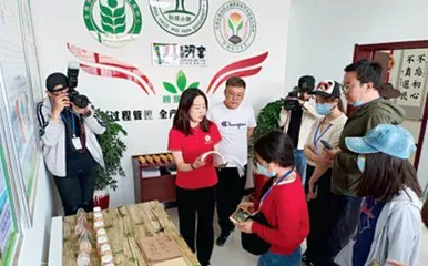 地里的狂风经得住吗？