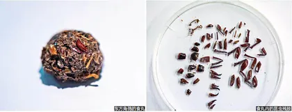燕园猛禽体内有“仙丹”?1