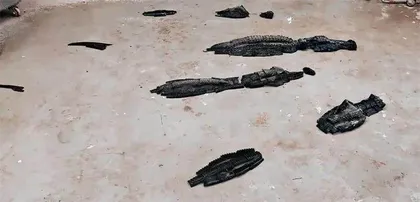 开动脑筋艺术信手拈来3