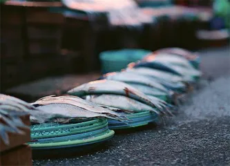 微醺的交换生活2