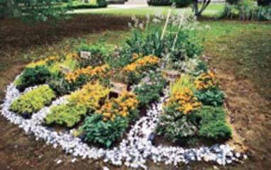 16平米小花园诉说120年历程4