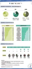 网红UP主 顶流好老师